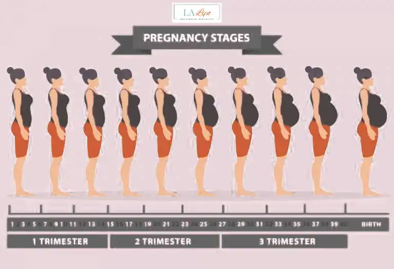 First Trimester (Weeks 1–12): Early Changes You Might Not Notice Southampton